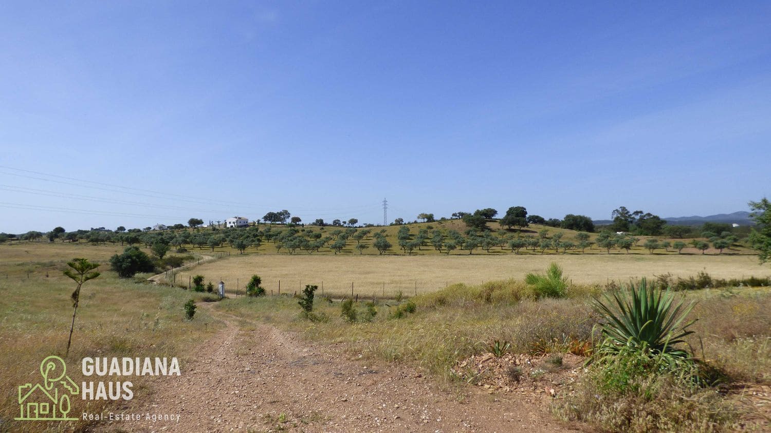 4 sypialnia Finka/Dom wiejski na sprzedaż w Alosno - 169 000 € (Ref: 10078599)