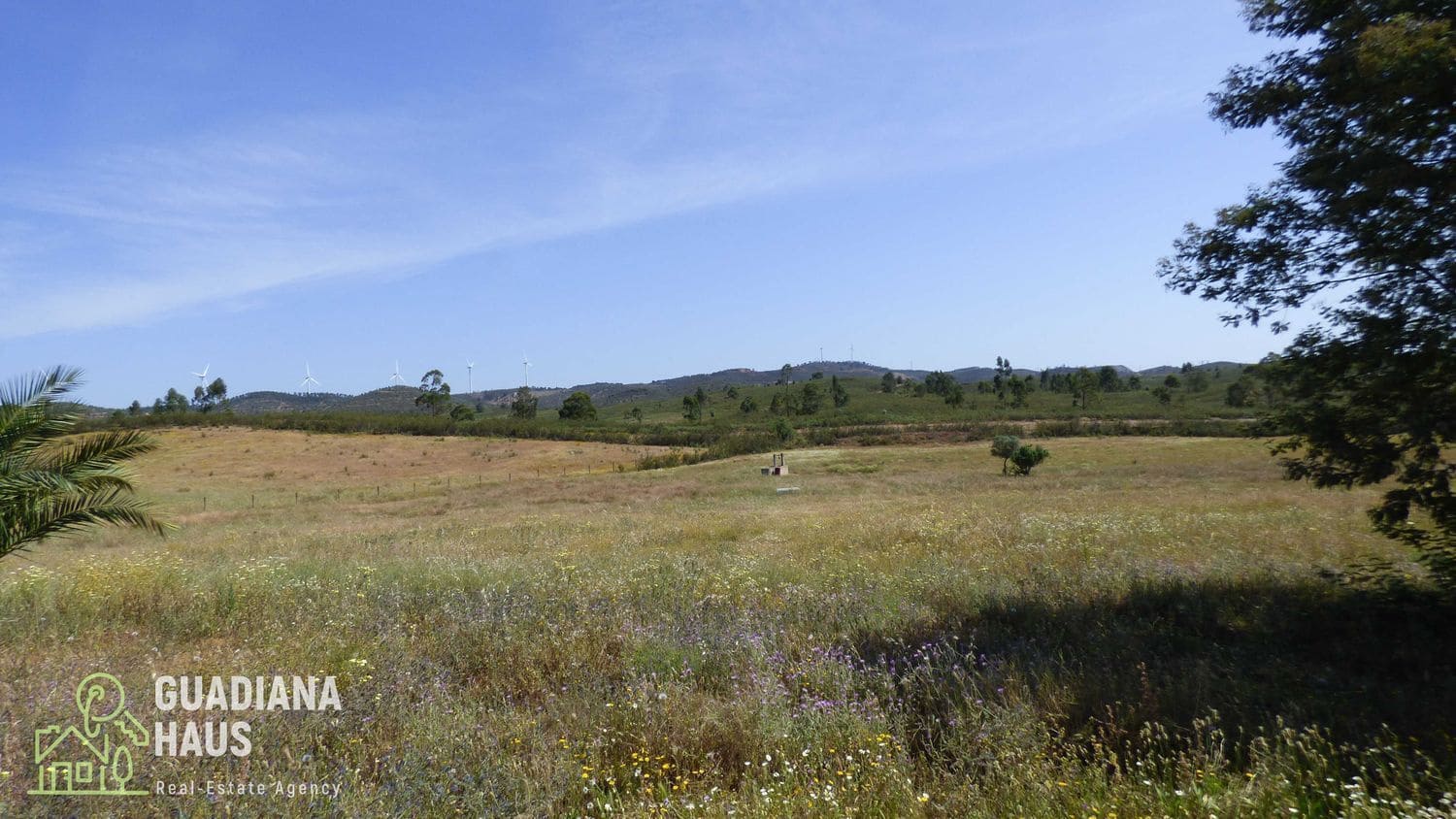 4 sypialnia Finka/Dom wiejski na sprzedaż w Alosno - 169 000 € (Ref: 10078599)