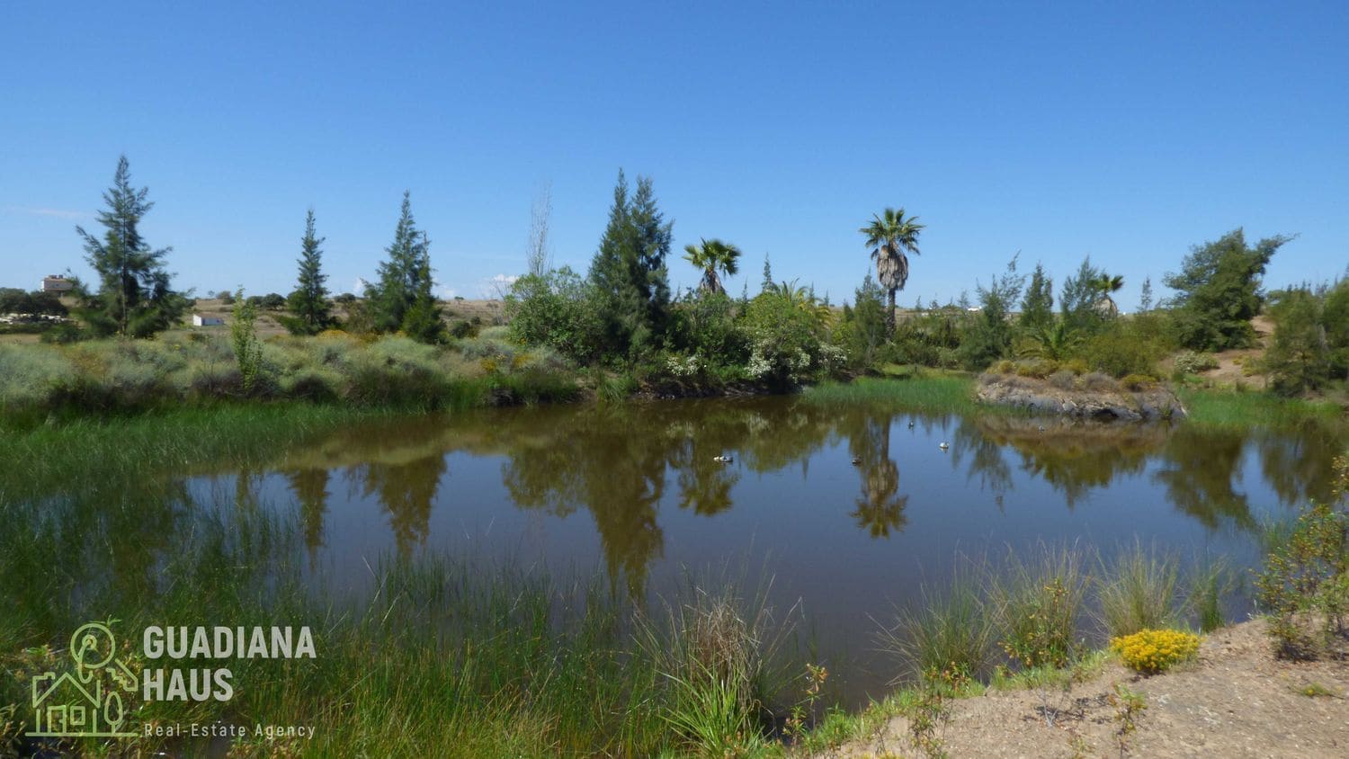5 slaapkamer Finca/Landhuis te koop in San Silvestre de Guzman - € 575.000 (Ref: 10078602)