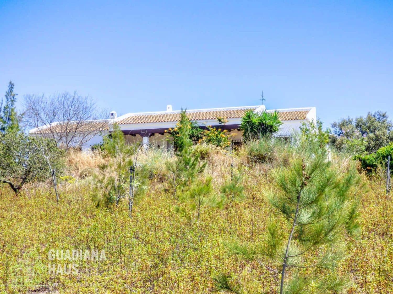5 slaapkamer Finca/Landhuis te koop in San Silvestre de Guzman - € 575.000 (Ref: 10078602)