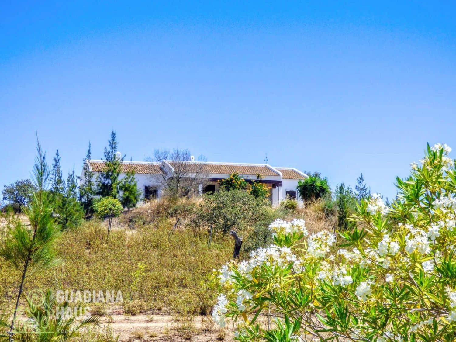 5 slaapkamer Finca/Landhuis te koop in San Silvestre de Guzman - € 575.000 (Ref: 10078602)