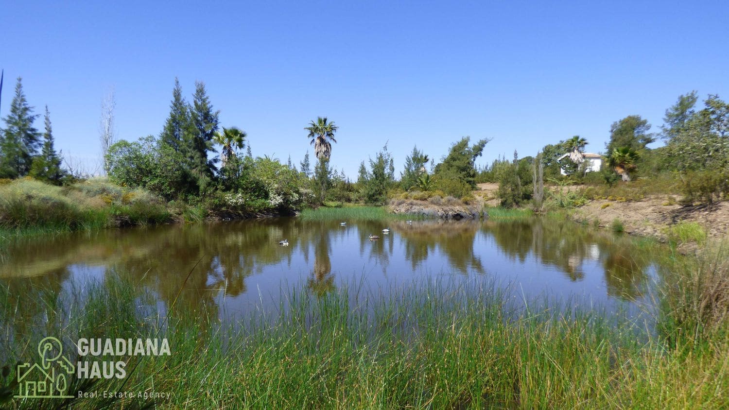 5 slaapkamer Finca/Landhuis te koop in San Silvestre de Guzman - € 575.000 (Ref: 10078602)