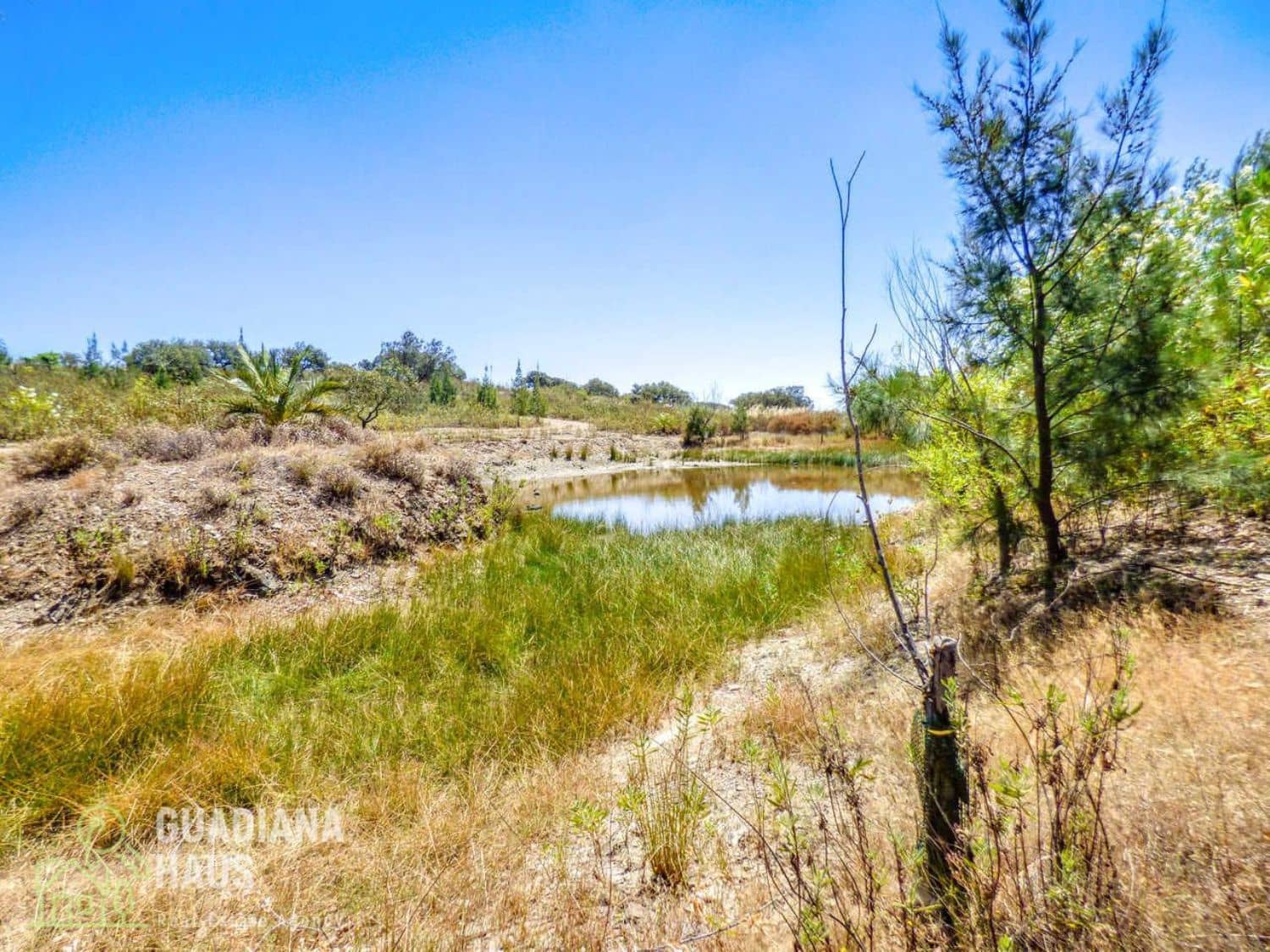 5 slaapkamer Finca/Landhuis te koop in San Silvestre de Guzman - € 575.000 (Ref: 10078602)