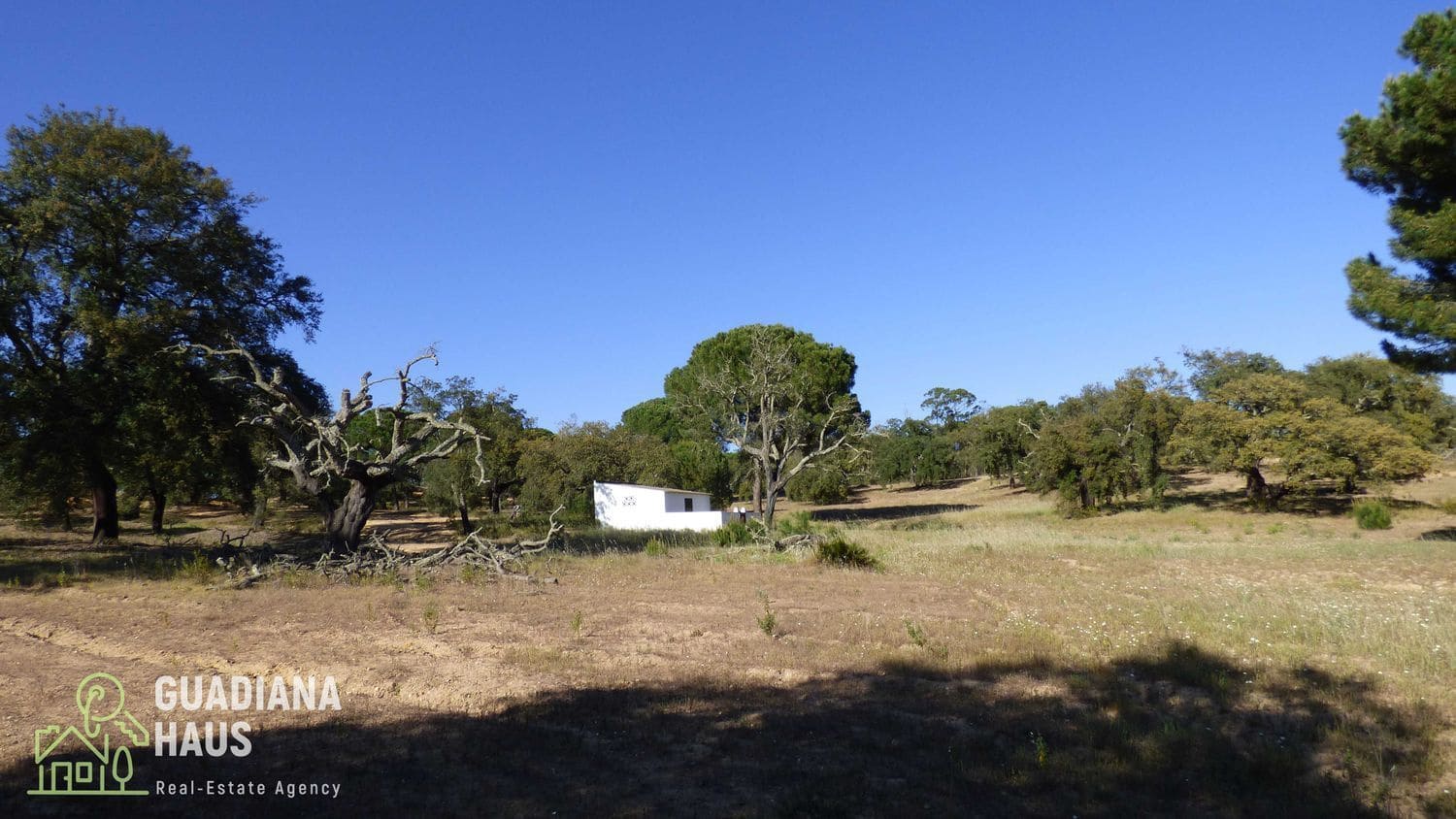 2 camera da letto Finca/Casa di Campagna in vendita in Villanueva de los Castillejos con piscina - 390.000 € (Rif: 10078604)