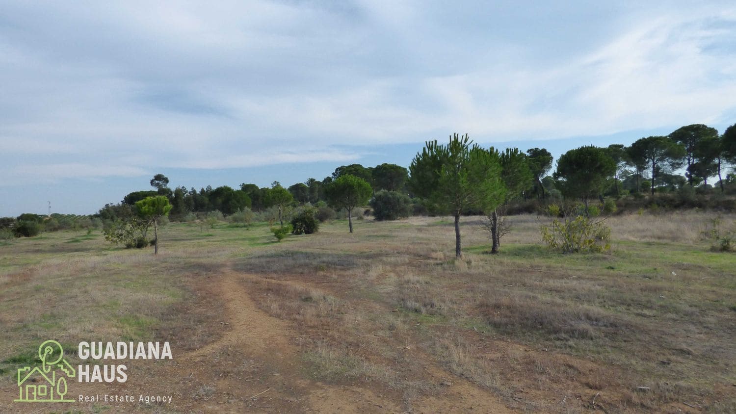 4 slaapkamer Finca/Landhuis te koop in Lepe met zwembad - € 296.000 (Ref: 10078605)