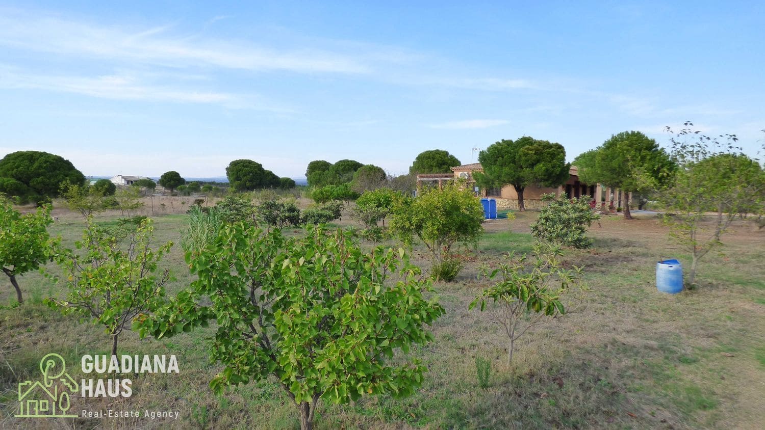 4 slaapkamer Finca/Landhuis te koop in Lepe met zwembad - € 296.000 (Ref: 10078605)