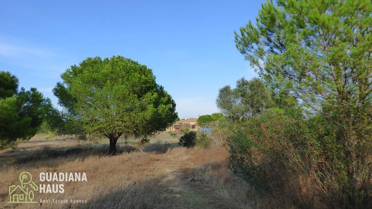 4 slaapkamer Finca/Landhuis te koop in Lepe met zwembad - € 296.000 (Ref: 10078605)