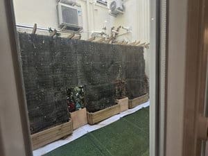3 quarto Apartamento para arrendar em Madrid cidade - 3 500 € (Ref: 9956015)
