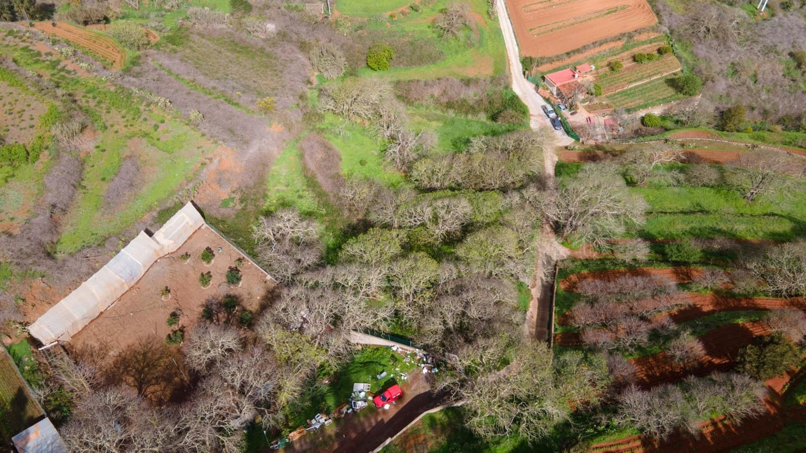 Undeveloped Land for sale in El Rosario - € 78,000 (Ref: 9975781)