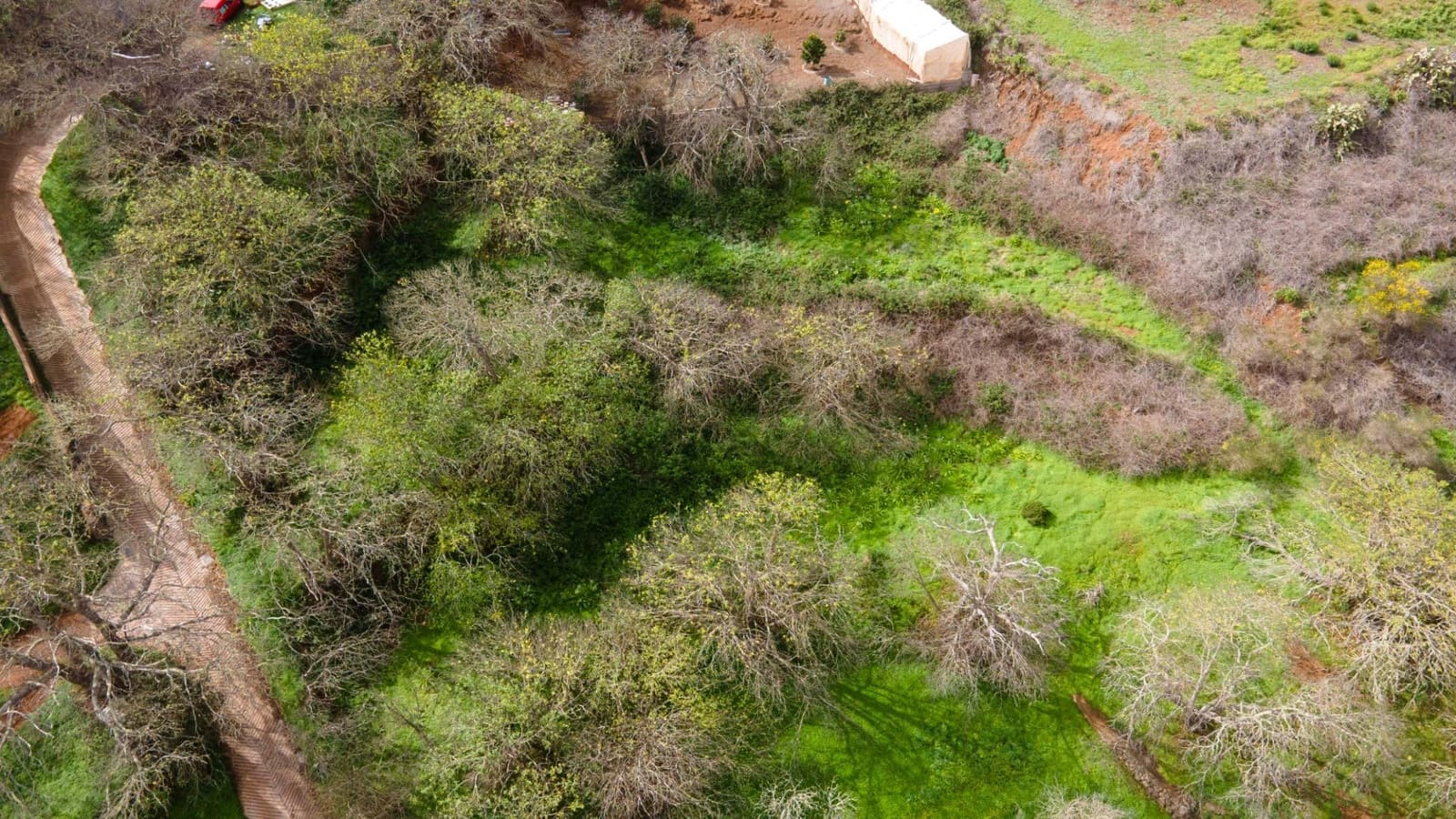 Undeveloped Land for sale in El Rosario - € 78,000 (Ref: 9975781)