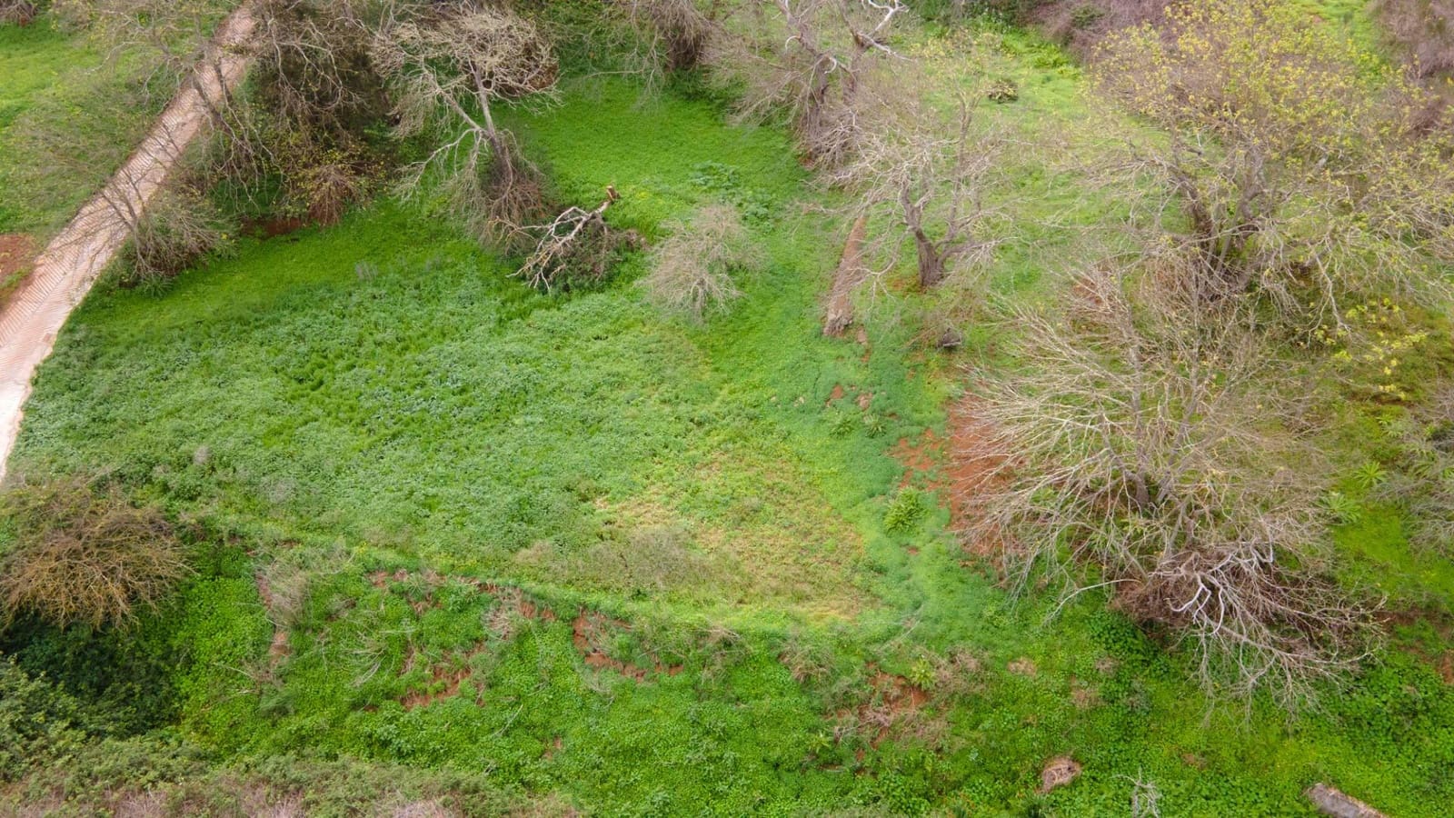 Undeveloped Land for sale in El Rosario - € 78,000 (Ref: 9975781)