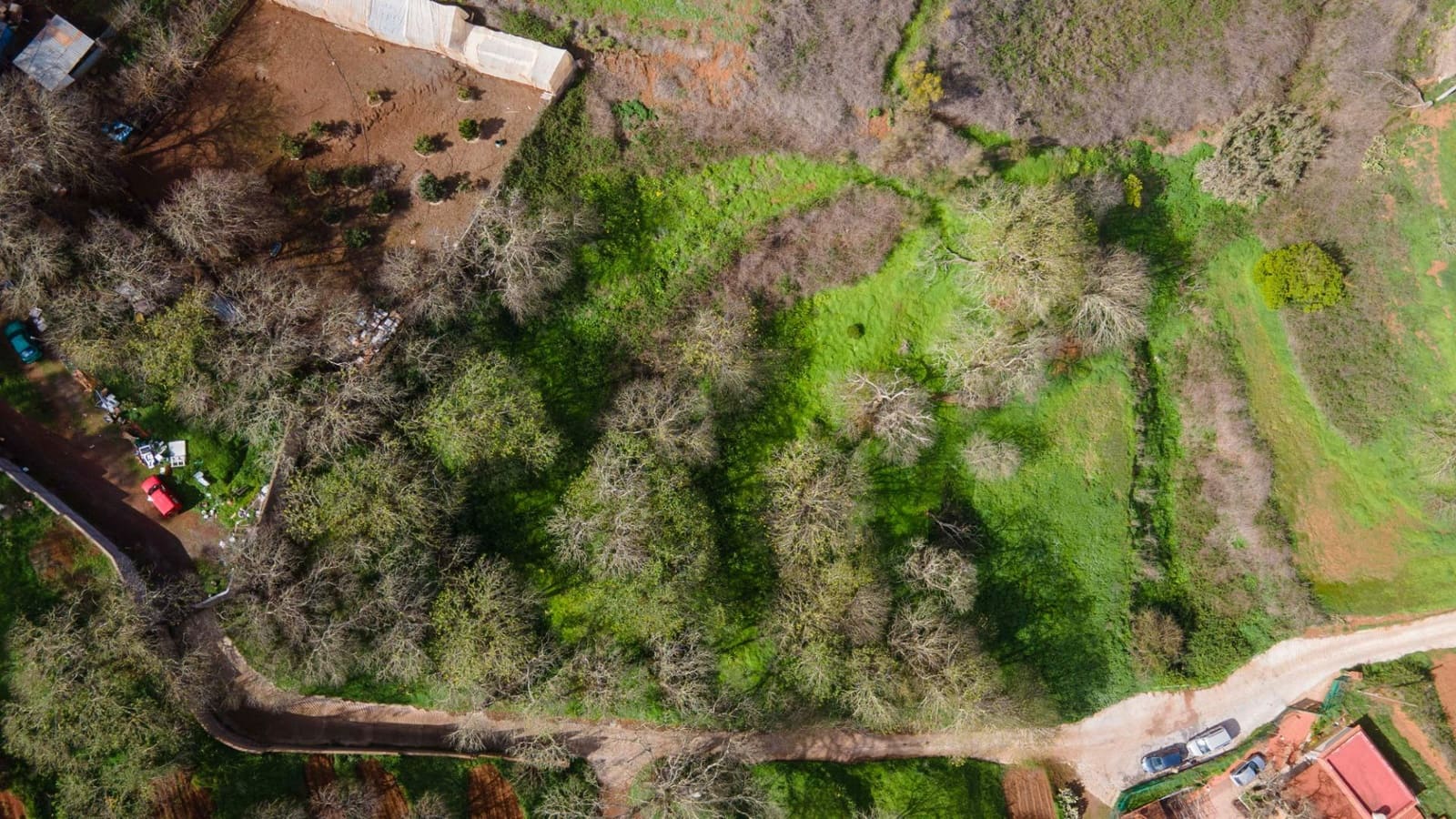 Undeveloped Land for sale in El Rosario - € 78,000 (Ref: 9975781)