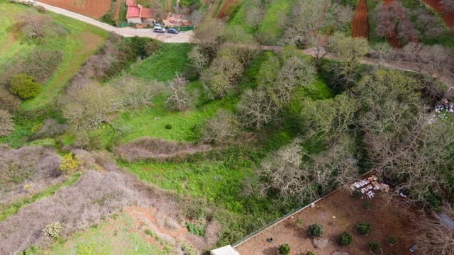 Ubebygd land til salgs i El Rosario - € 78 000 (Ref: 9975781)