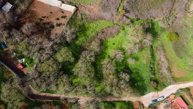 Ubebygd land til salgs i El Rosario - € 78 000 (Ref: 9975781)