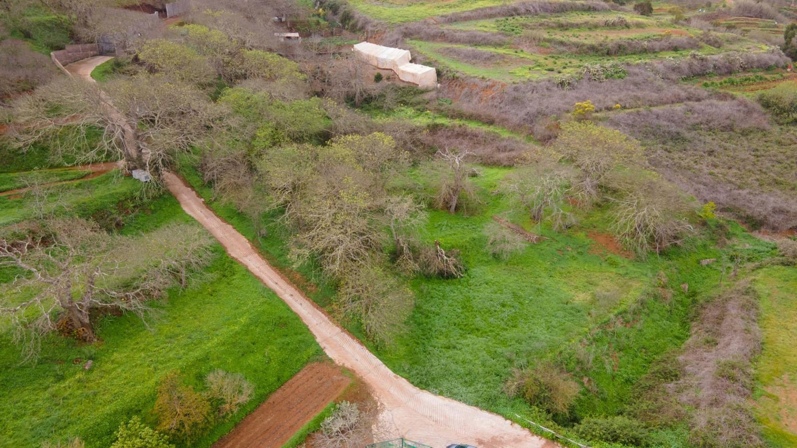 Undeveloped Land for sale in El Rosario - € 78,000 (Ref: 9975781)
