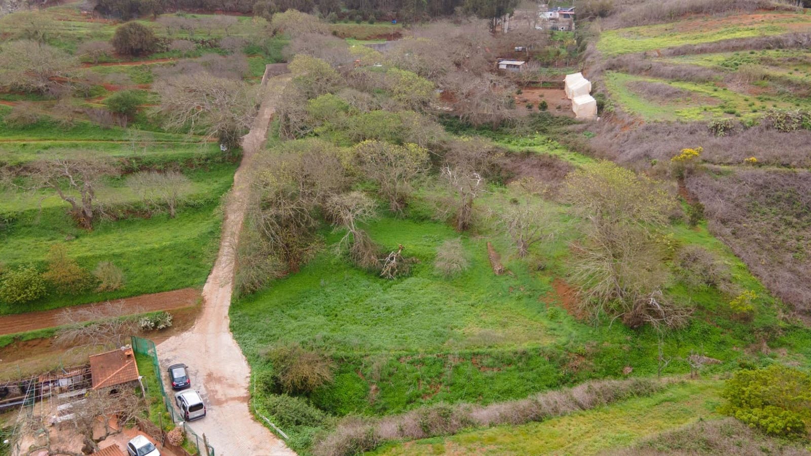 Undeveloped Land for sale in El Rosario - € 78,000 (Ref: 9975781)