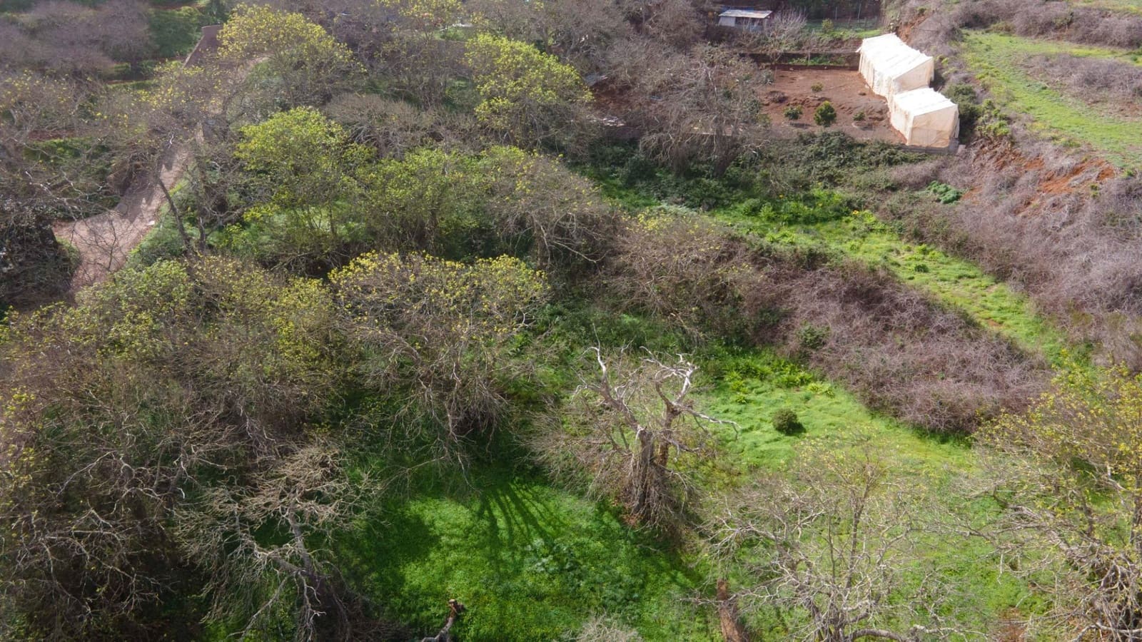 Undeveloped Land for sale in El Rosario - € 78,000 (Ref: 9975781)