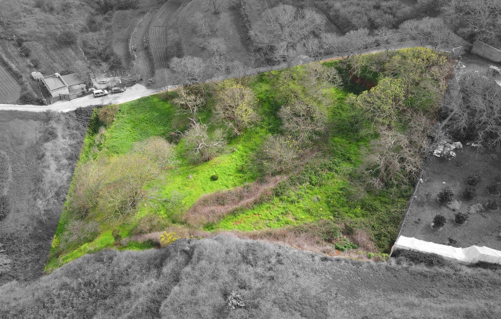 Undeveloped Land for sale in El Rosario - € 78,000 (Ref: 9975781)