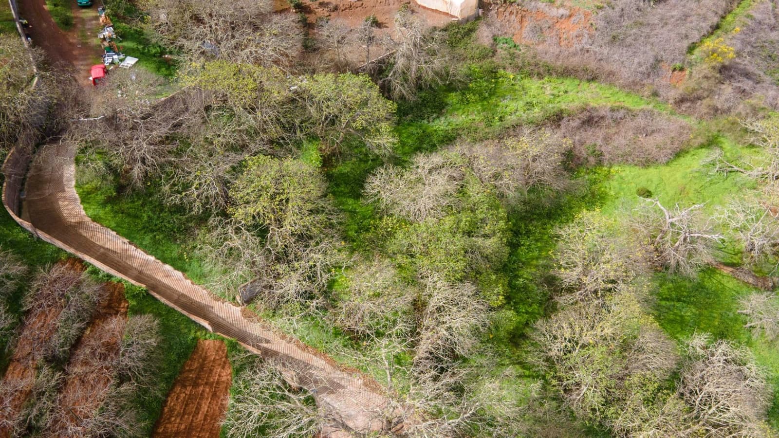 Undeveloped Land for sale in El Rosario - € 78,000 (Ref: 9975781)