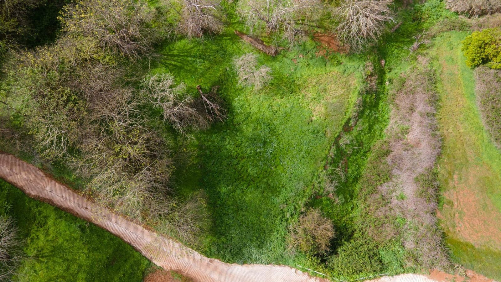 Undeveloped Land for sale in El Rosario - € 78,000 (Ref: 9975781)