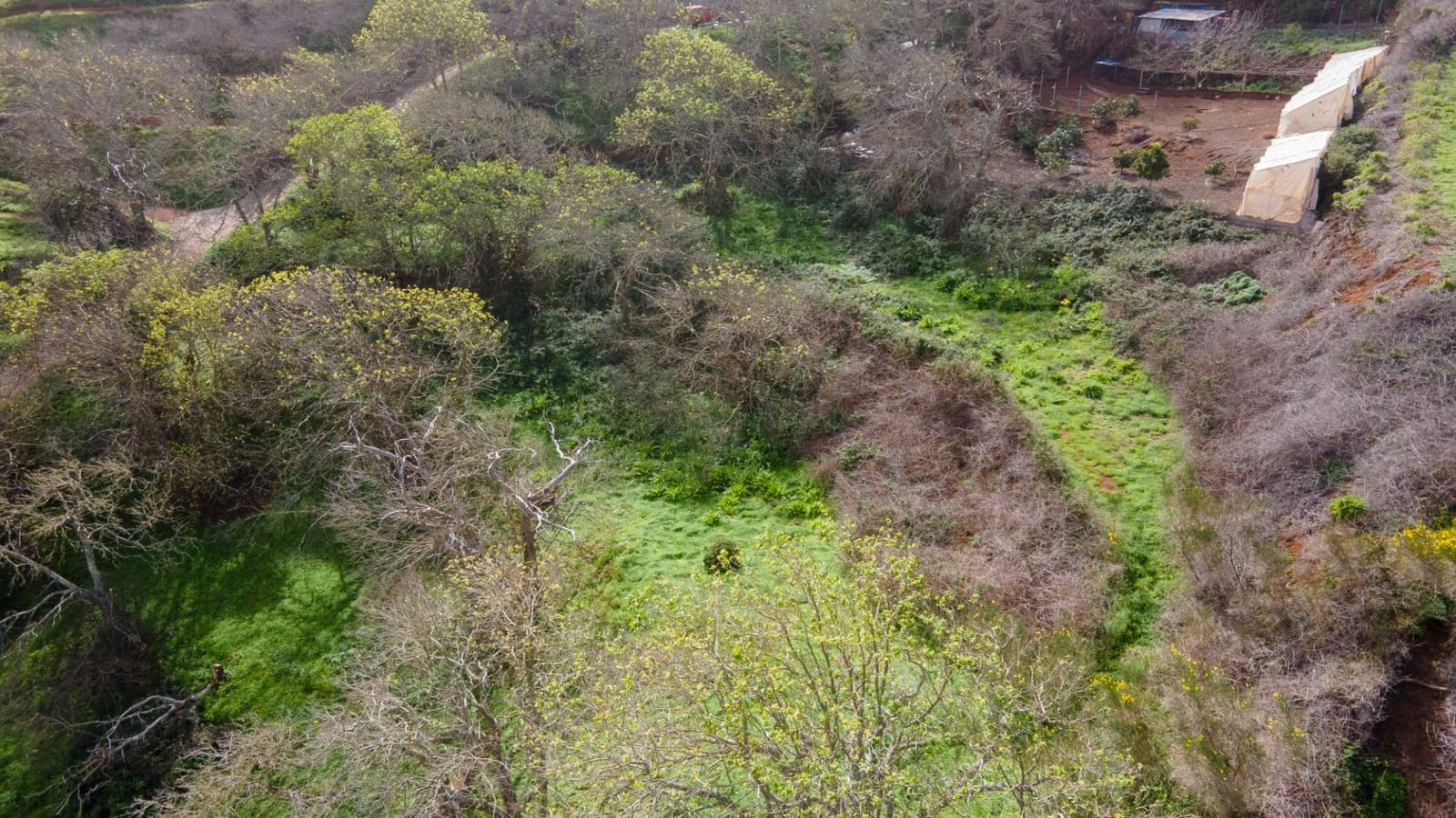 Undeveloped Land for sale in El Rosario - € 78,000 (Ref: 9975781)