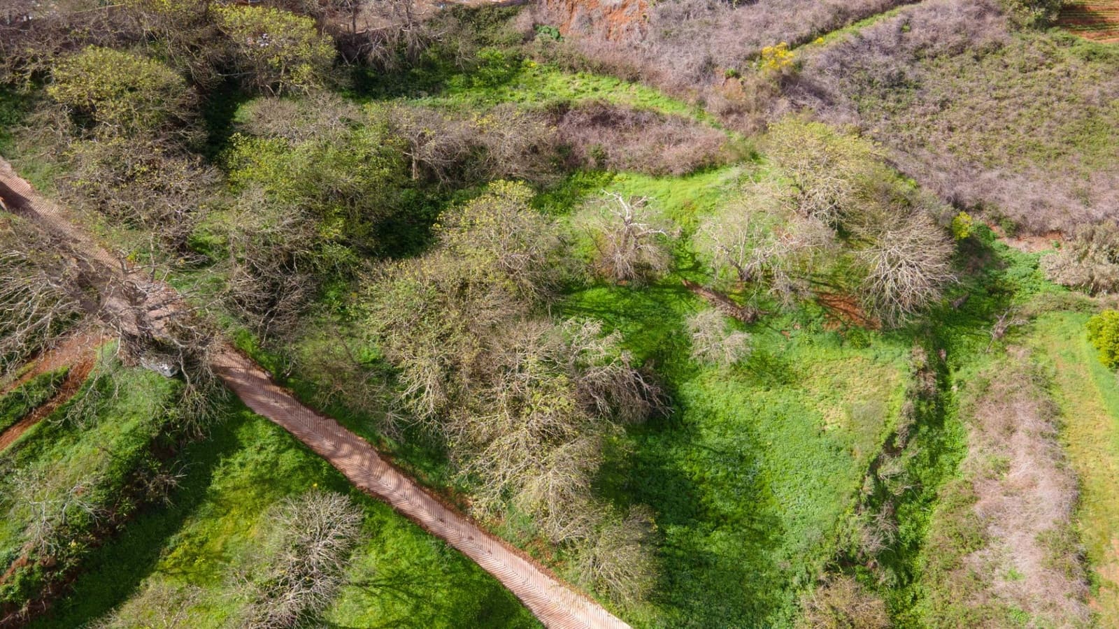 Undeveloped Land for sale in El Rosario - € 78,000 (Ref: 9975781)