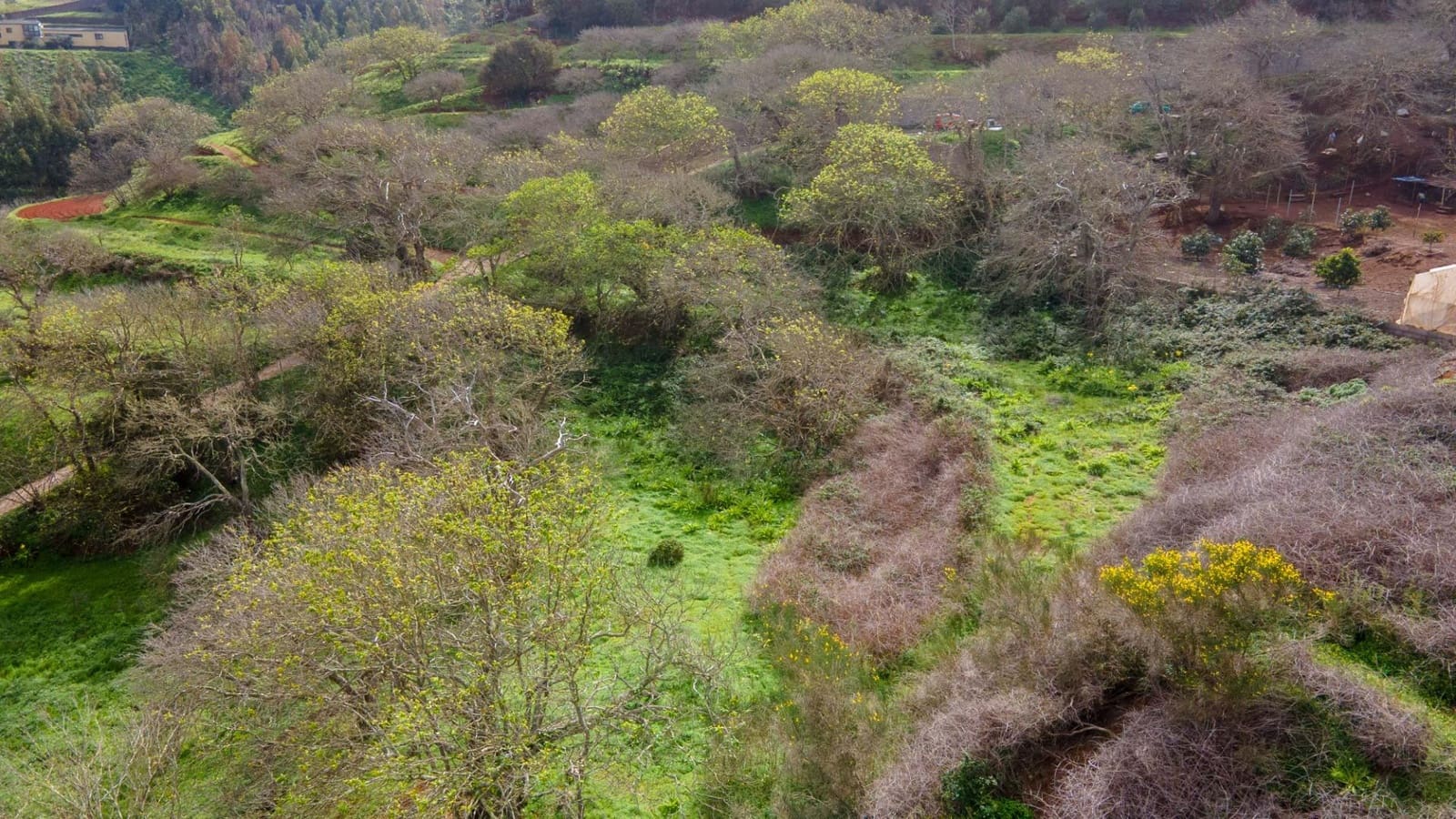 Undeveloped Land for sale in El Rosario - € 78,000 (Ref: 9975781)