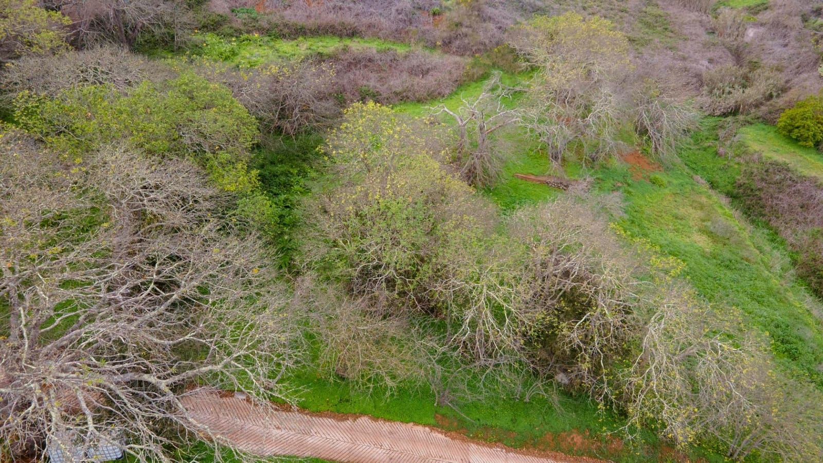 Undeveloped Land for sale in El Rosario - € 78,000 (Ref: 9975781)