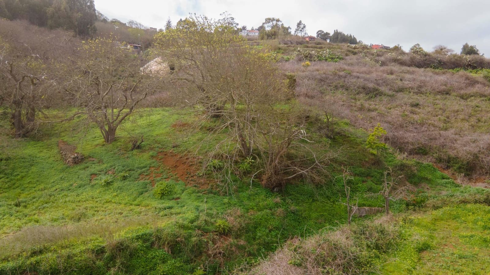 Undeveloped Land for sale in El Rosario - € 78,000 (Ref: 9975781)