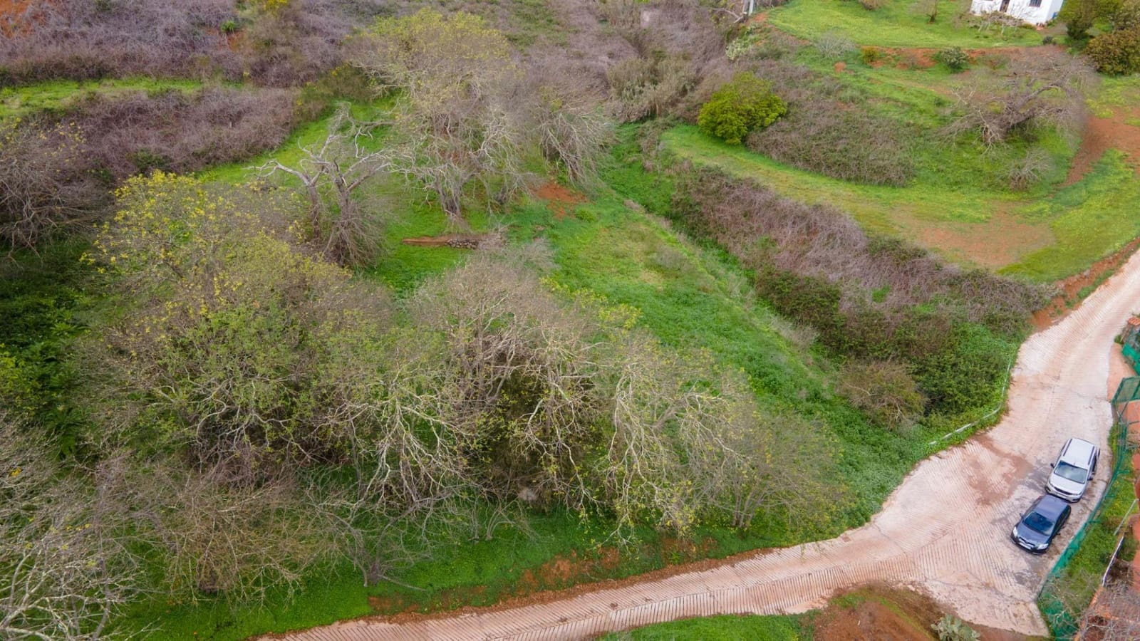 Undeveloped Land for sale in El Rosario - € 78,000 (Ref: 9975781)