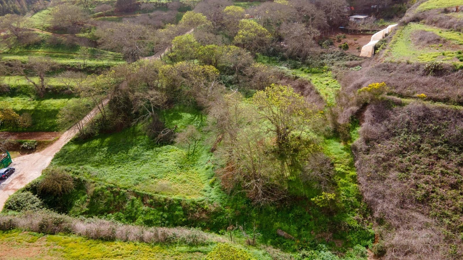 Undeveloped Land for sale in El Rosario - € 78,000 (Ref: 9975781)