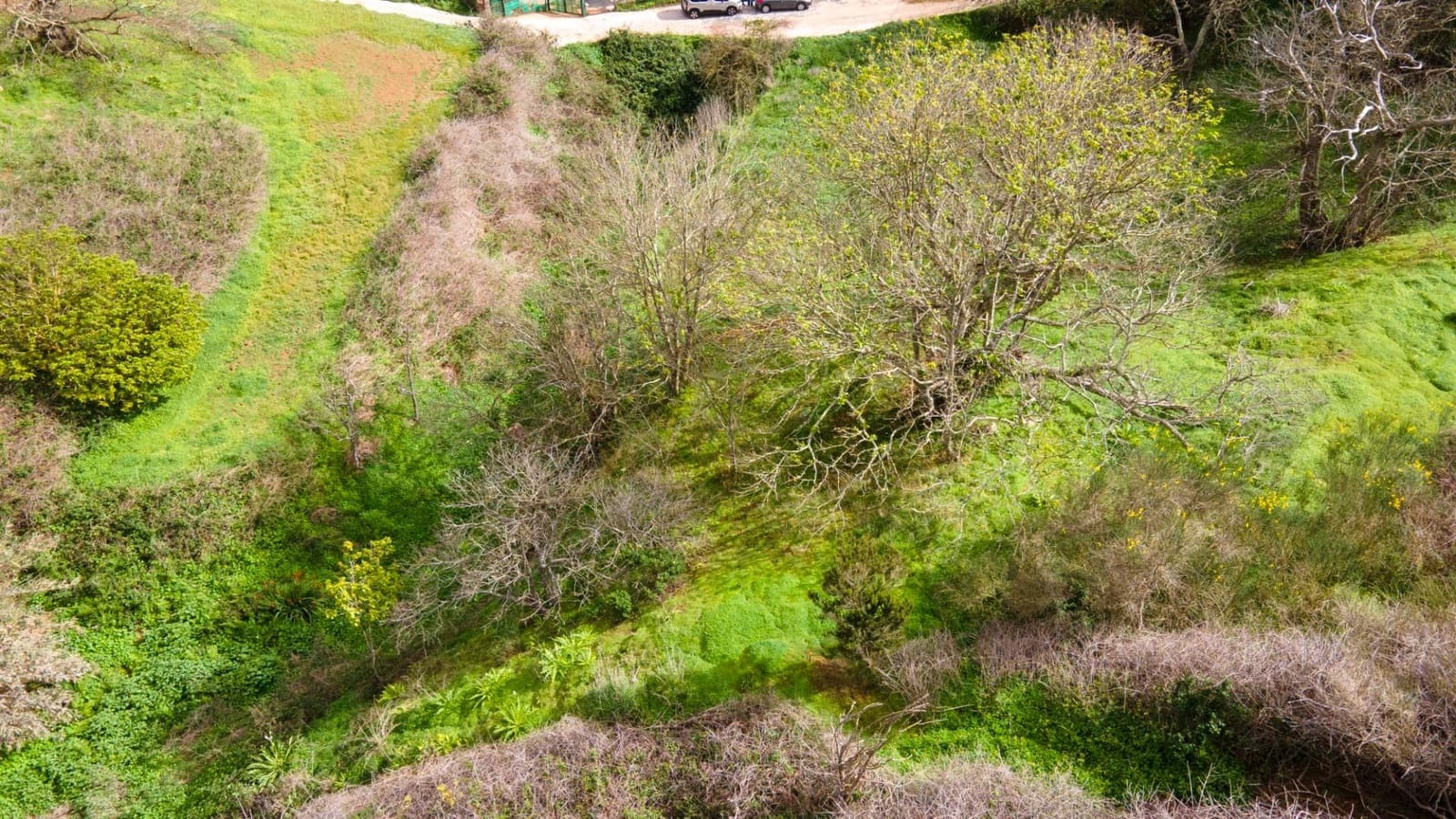 Undeveloped Land for sale in El Rosario - € 78,000 (Ref: 9975781)