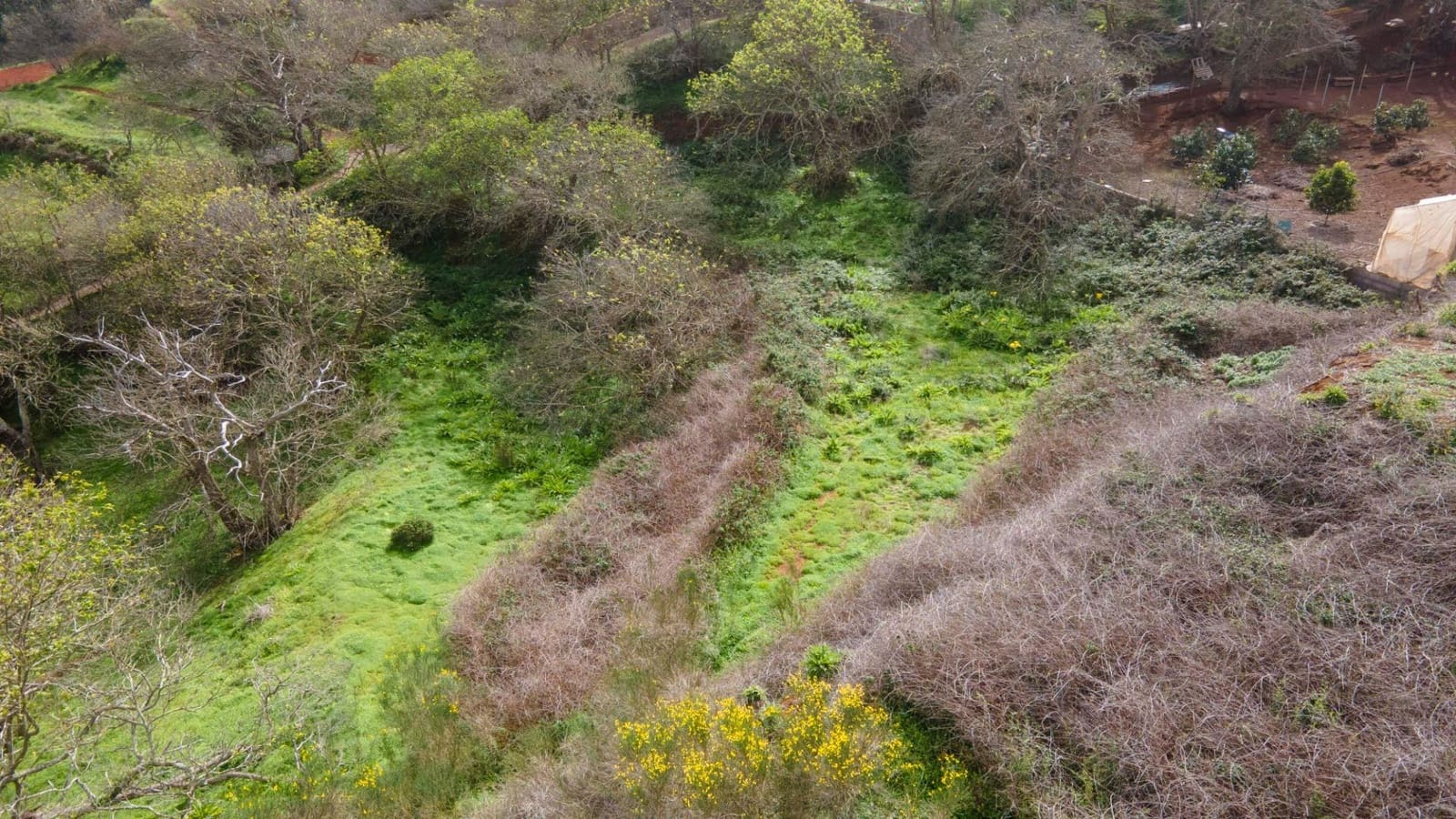 Undeveloped Land for sale in El Rosario - € 78,000 (Ref: 9975781)