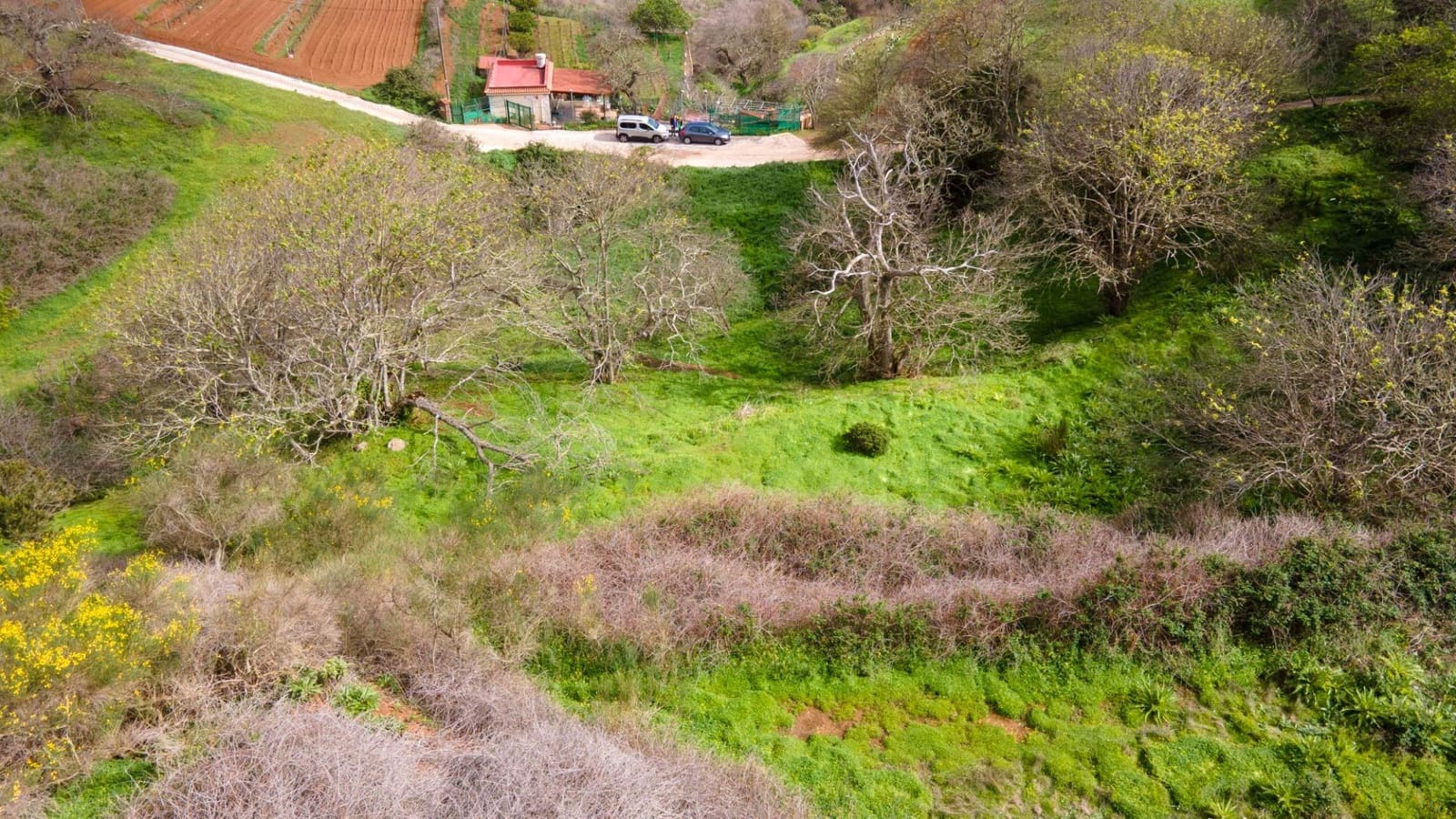 Undeveloped Land for sale in El Rosario - € 78,000 (Ref: 9975781)