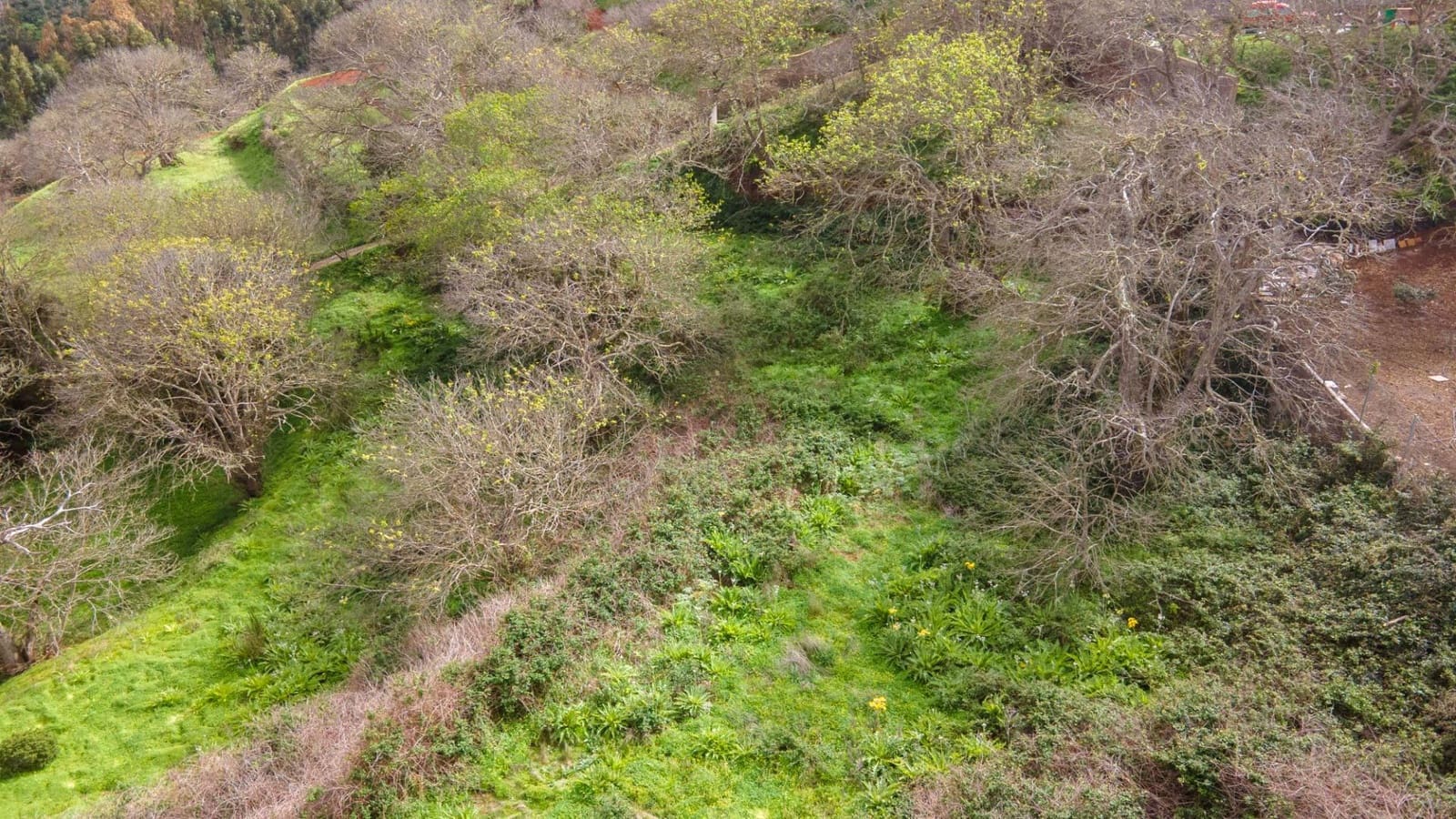 Undeveloped Land for sale in El Rosario - € 78,000 (Ref: 9975781)