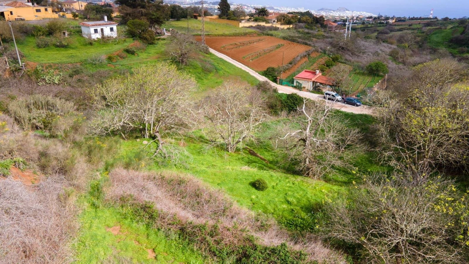 Undeveloped Land for sale in El Rosario - € 78,000 (Ref: 9975781)