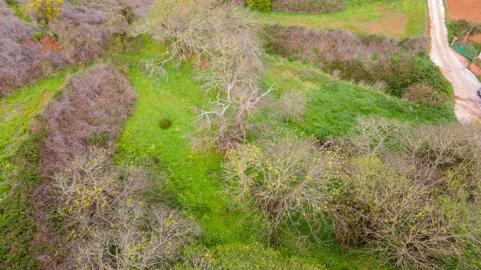 Undeveloped Land for sale in El Rosario - € 78,000 (Ref: 9975781)