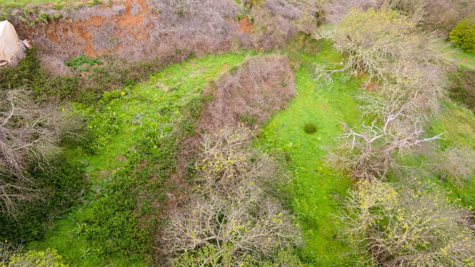 Undeveloped Land for sale in El Rosario - € 78,000 (Ref: 9975781)