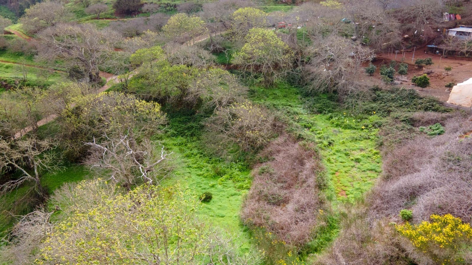 Undeveloped Land for sale in El Rosario - € 78,000 (Ref: 9975781)