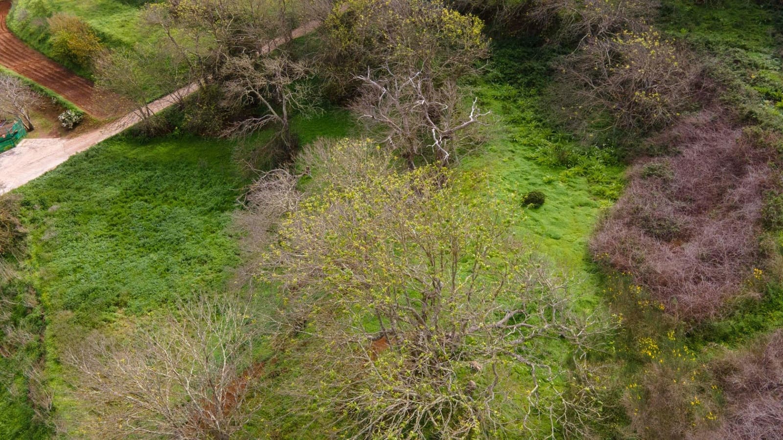 Undeveloped Land for sale in El Rosario - € 78,000 (Ref: 9975781)