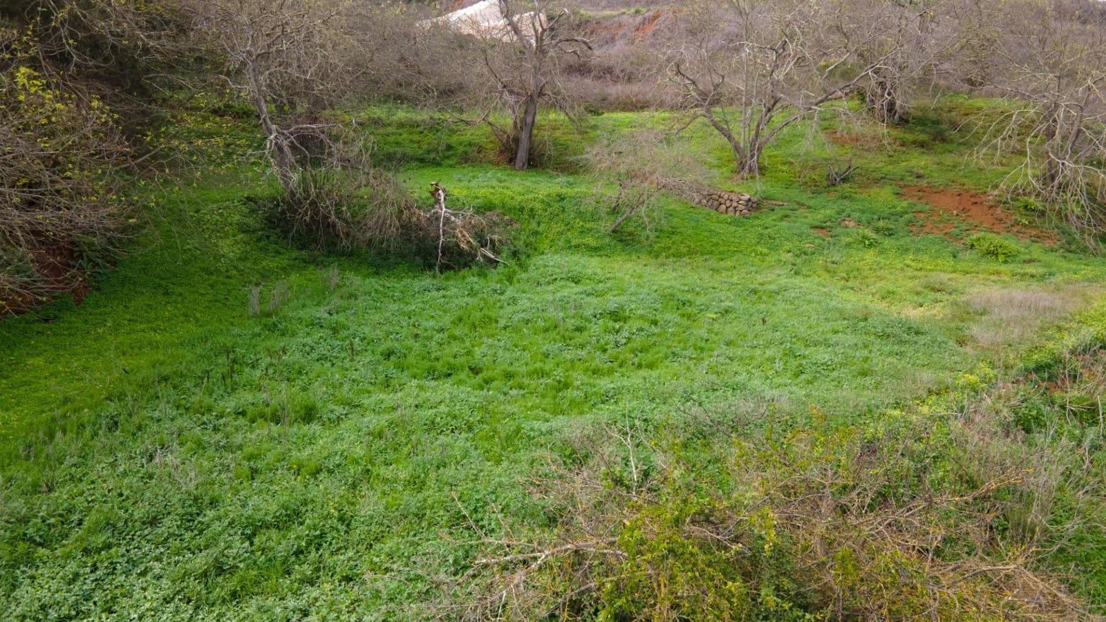 Undeveloped Land for sale in El Rosario - € 78,000 (Ref: 9975781)