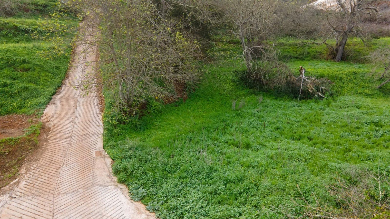 Undeveloped Land for sale in El Rosario - € 78,000 (Ref: 9975781)