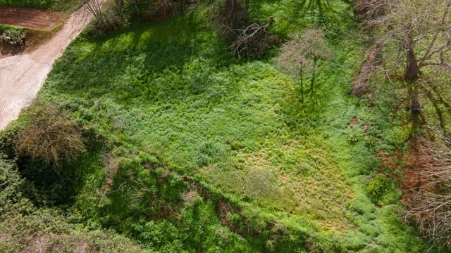 Ubebygd land til salgs i El Rosario - € 78 000 (Ref: 9975781)