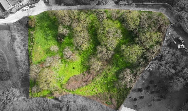 Ubebygd land til salgs i El Rosario - € 78 000 (Ref: 9975781)