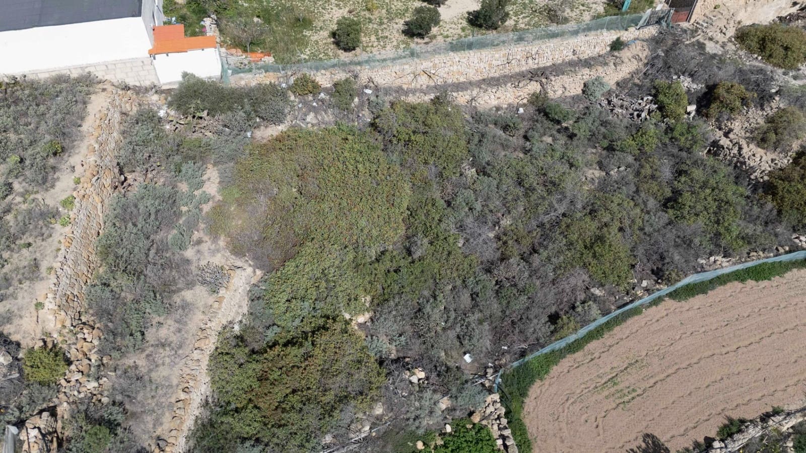 Building Plot for sale in Fasnia - € 75,000 (Ref: 9975782)