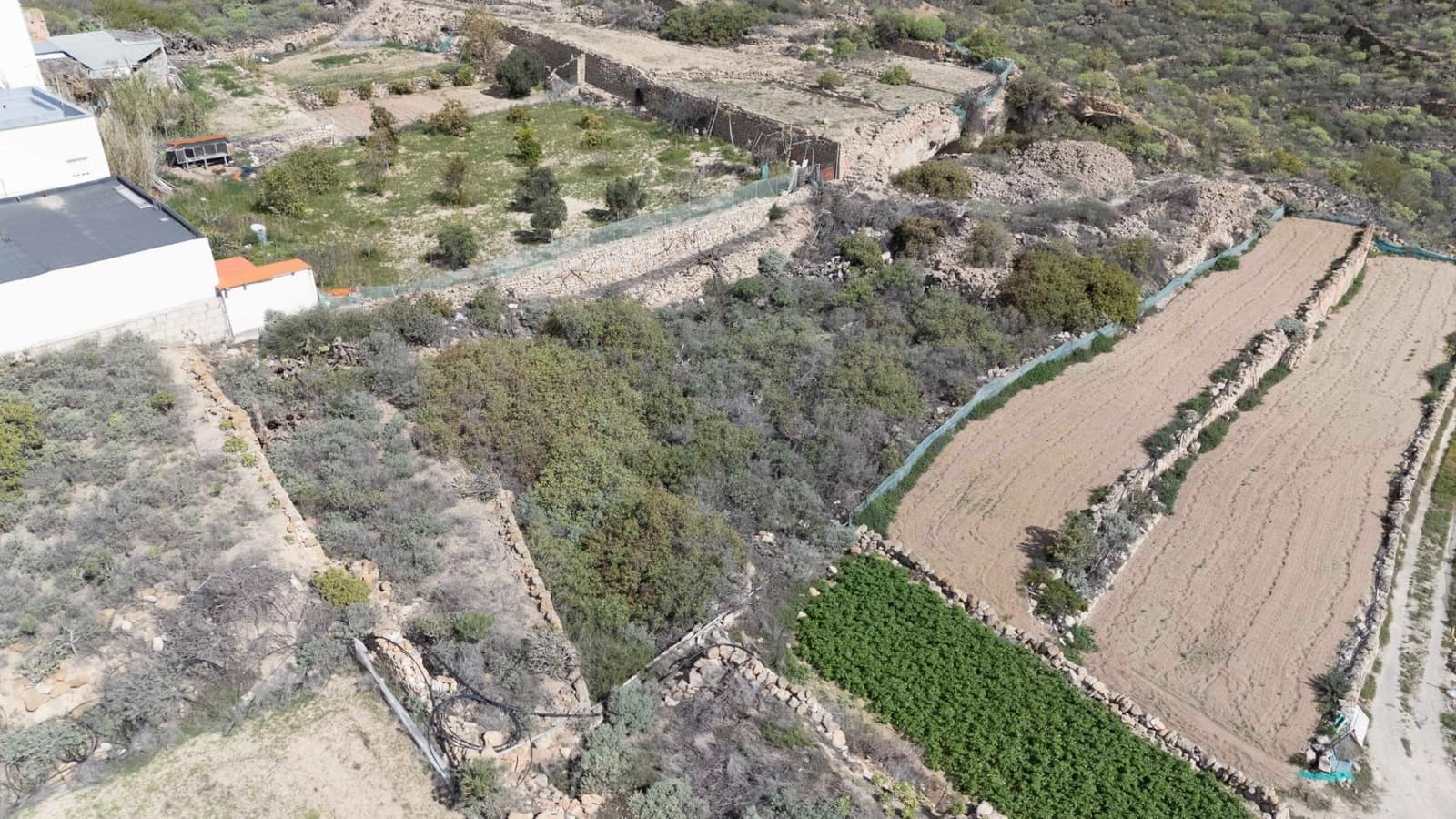 Building Plot for sale in Fasnia - € 75,000 (Ref: 9975782)