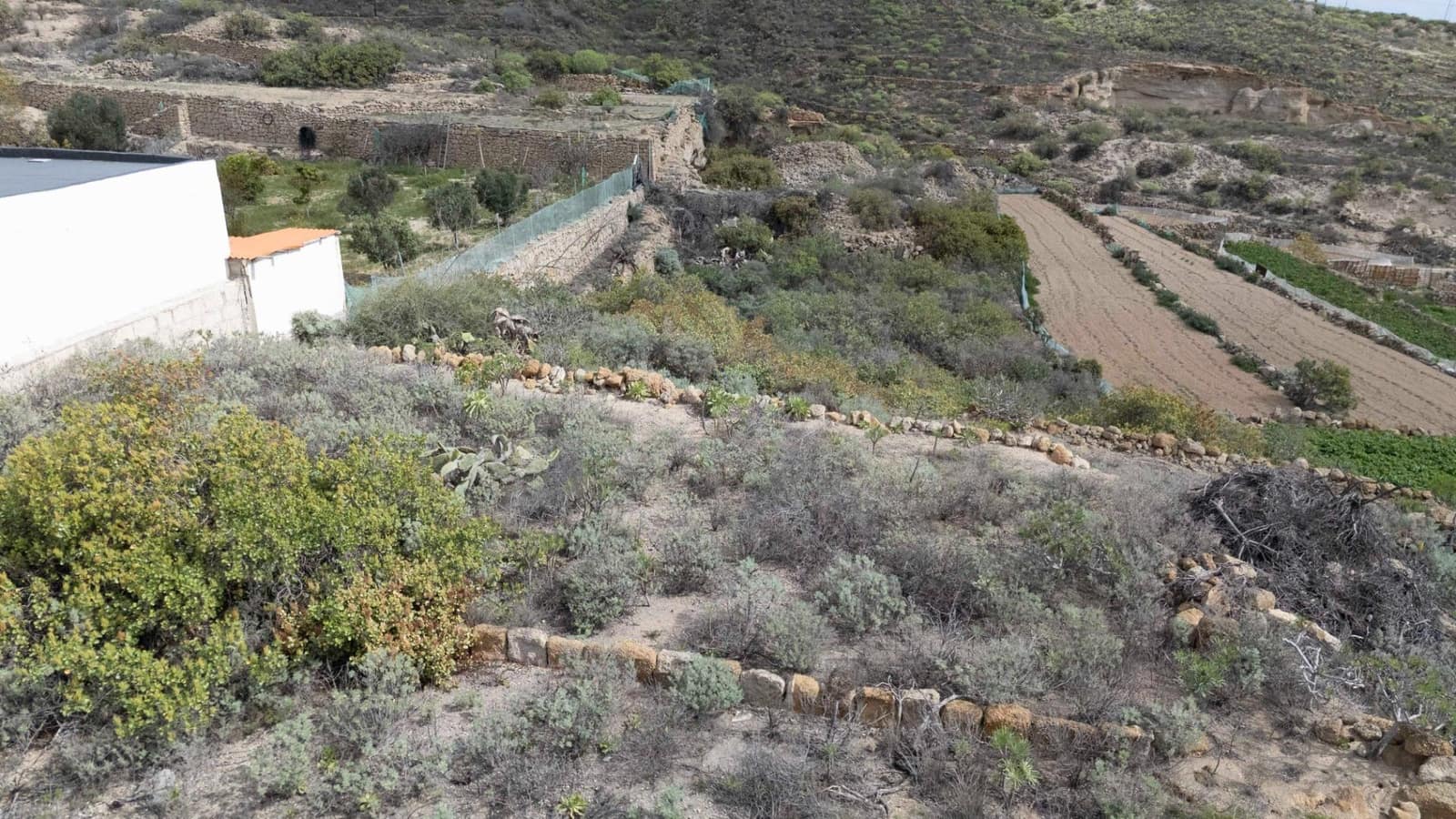 Building Plot for sale in Fasnia - € 75,000 (Ref: 9975782)