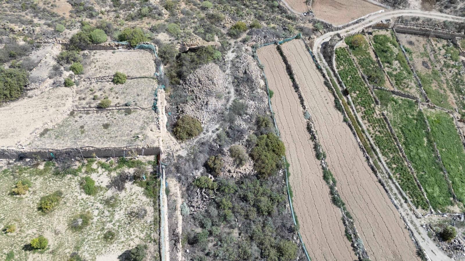 Building Plot for sale in Fasnia - € 75,000 (Ref: 9975782)