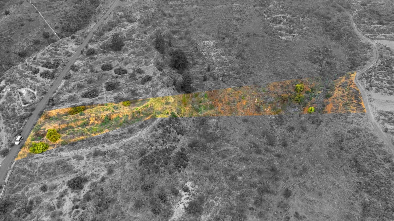 Undeveloped Land for sale in Fasnia - € 32,500 (Ref: 9975783)