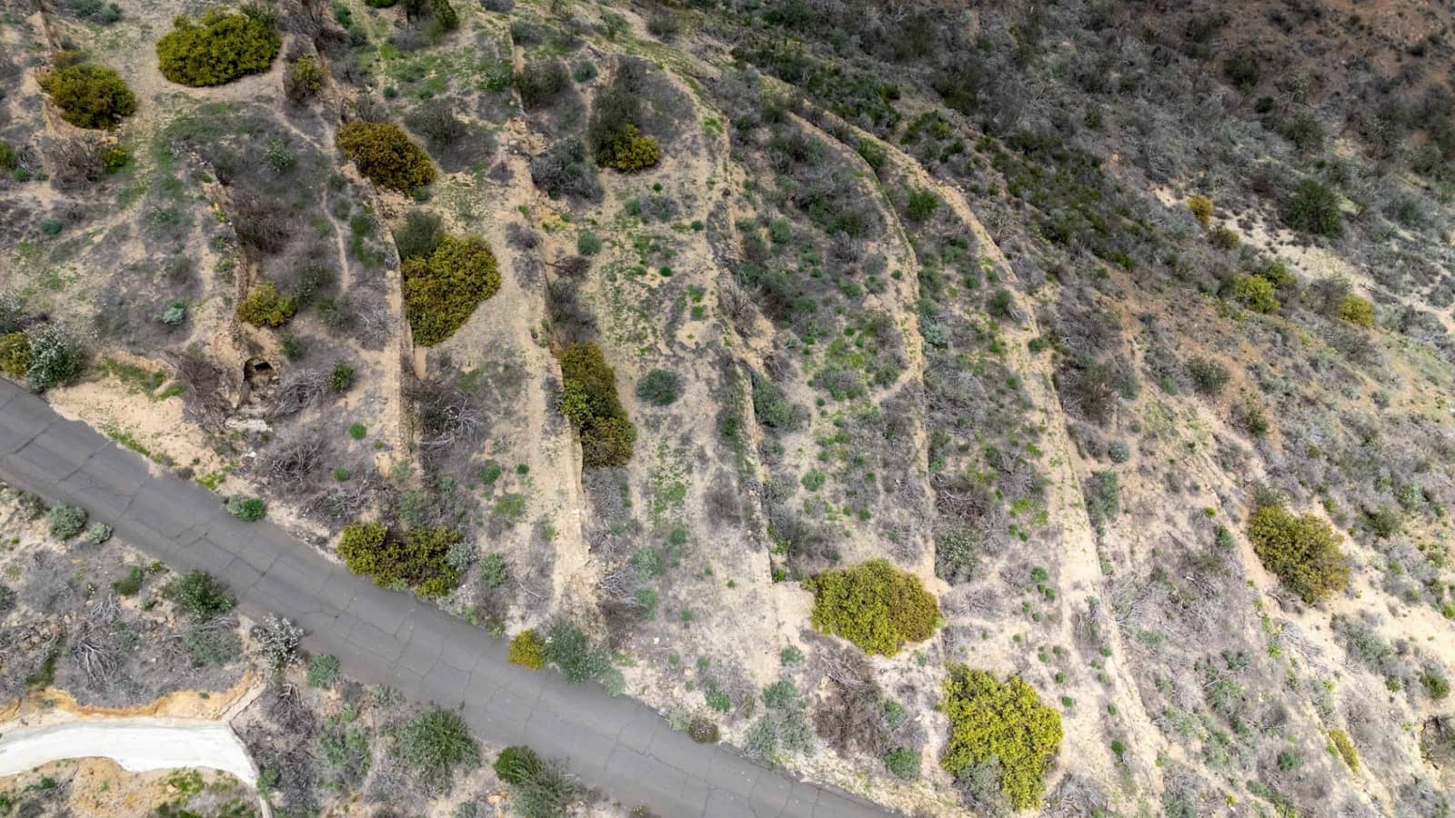 Undeveloped Land for sale in Fasnia - € 32,500 (Ref: 9975783)